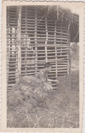 3ª Fase da habitação